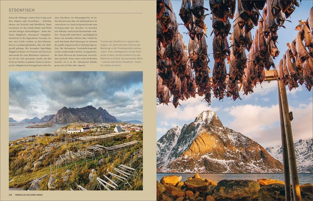 InsideView 11