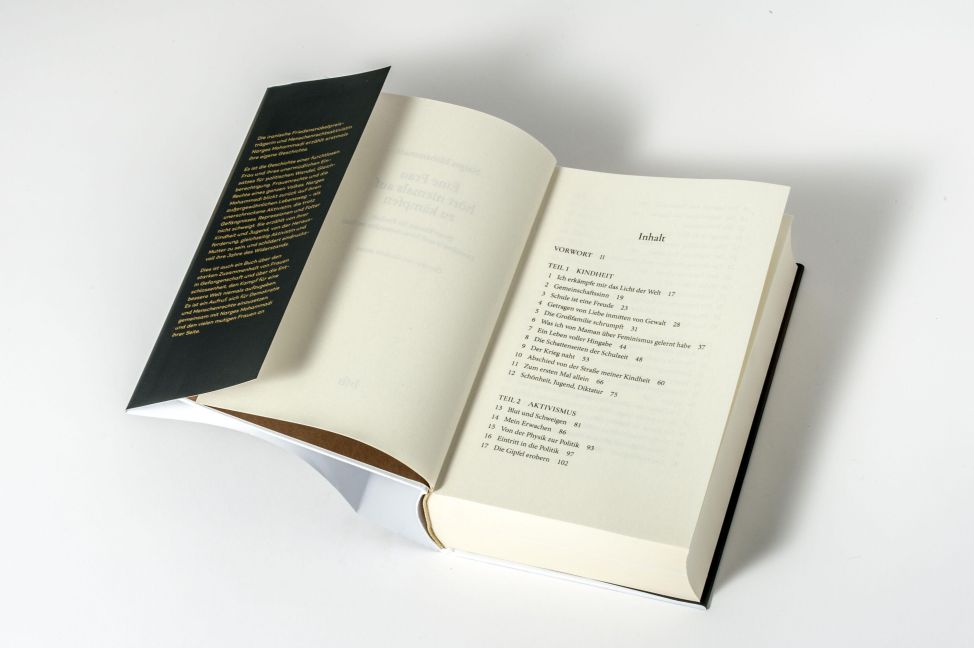 InsideView 5