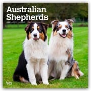 Australian Shepherds 2026 - 16-Monatskalender - Browntrout Publishers