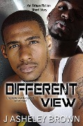 Different View - J Asheley Brown