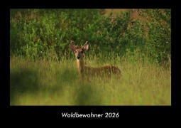 Cover-Bild zum Titel 'Waldbewohner 2026 Fotokalender DIN A3' von 'Tobias Becker'