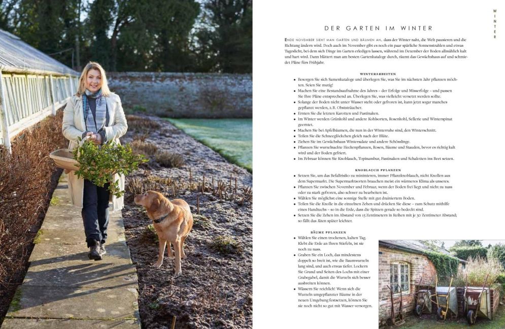 InsideView 12