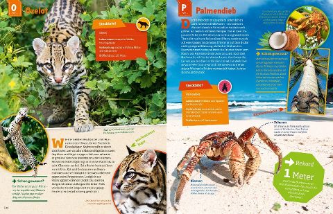 InsideView 12