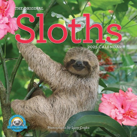 Original Sloths Wall Calendar 2025 - Lucy Cooke, Workman Calendars