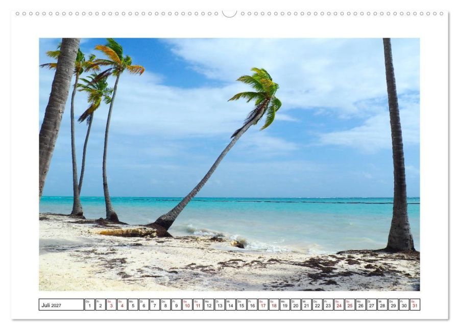 InsideView 12