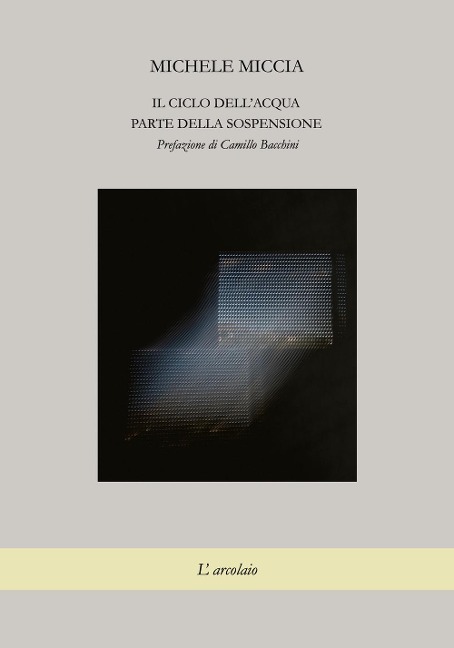 Il ciclo dell'acqua. Parte della sospensione - Michele Miccia