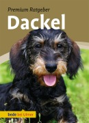 Cover-Bild zum Titel 'Dackel' von 'Annette Schmitt'