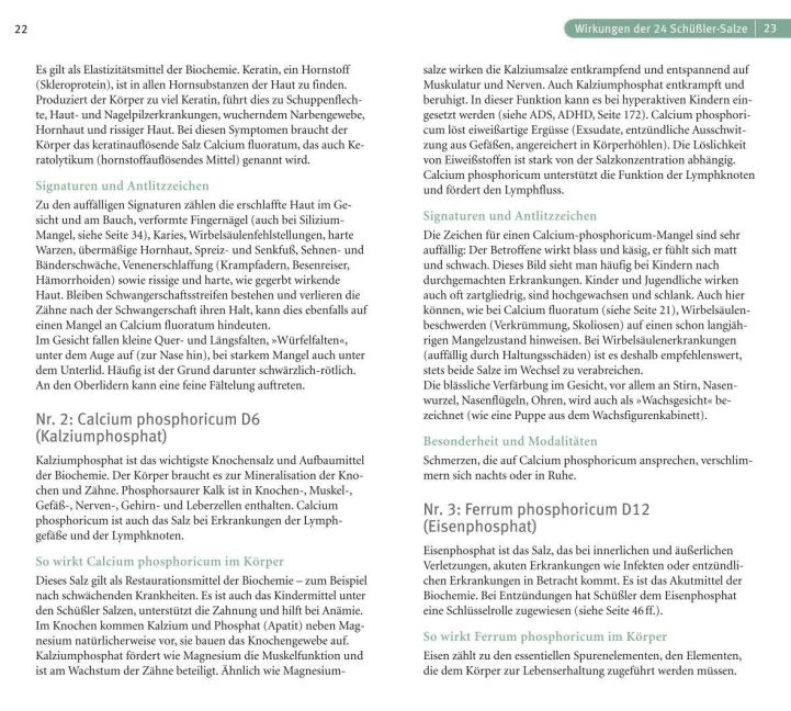 InsideView 4