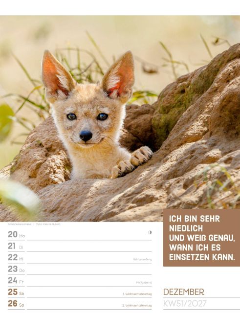 InsideView 55