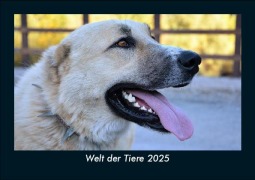 Cover-Bild zum Titel 'Welt der Tiere 2025 Fotokalender DIN A5' von 'Tobias Becker'
