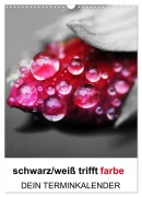 Cover-Bild zum Titel 'schwarz/weiß trifft farbe - DEIN TERMINKALENDER / Planer (Wandkalender 2026 DIN A3 hoch), CALVENDO Monatskalender' von 'Cathrin Kaden'