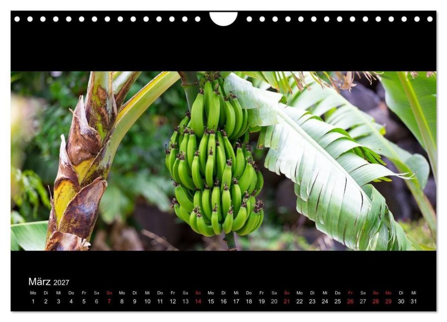 InsideView 8