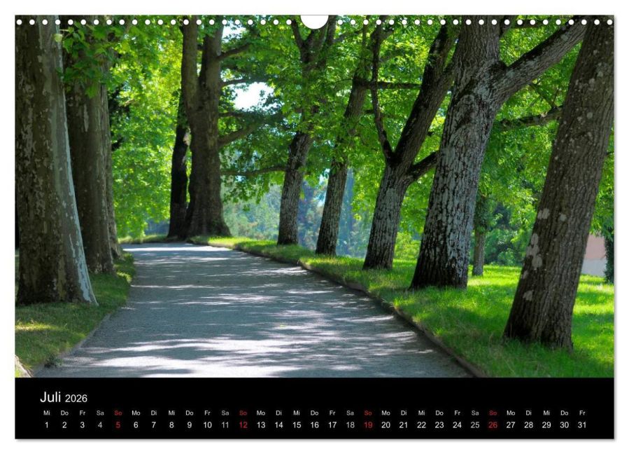 InsideView 12