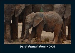 Cover-Bild zum Titel 'Der Elefantenkalender 2026 Fotokalender DIN A5' von 'Tobias Becker'