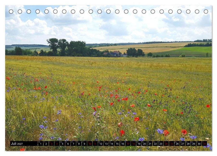InsideView 12