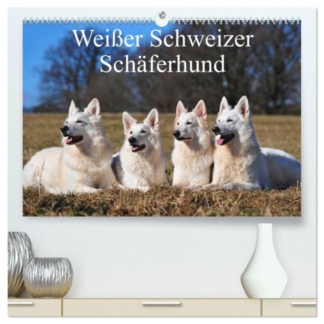 Weißer Schweizer Schäferhund (hochwertiger Premium Wandkalender 2026 DIN A2 quer), Kunstdruck in Hochglanz - Sigrid Starick