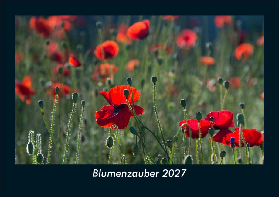 Blumenzauber 2027 Fotokalender DIN A5 - Tobias Schmitt, Kevin Heber