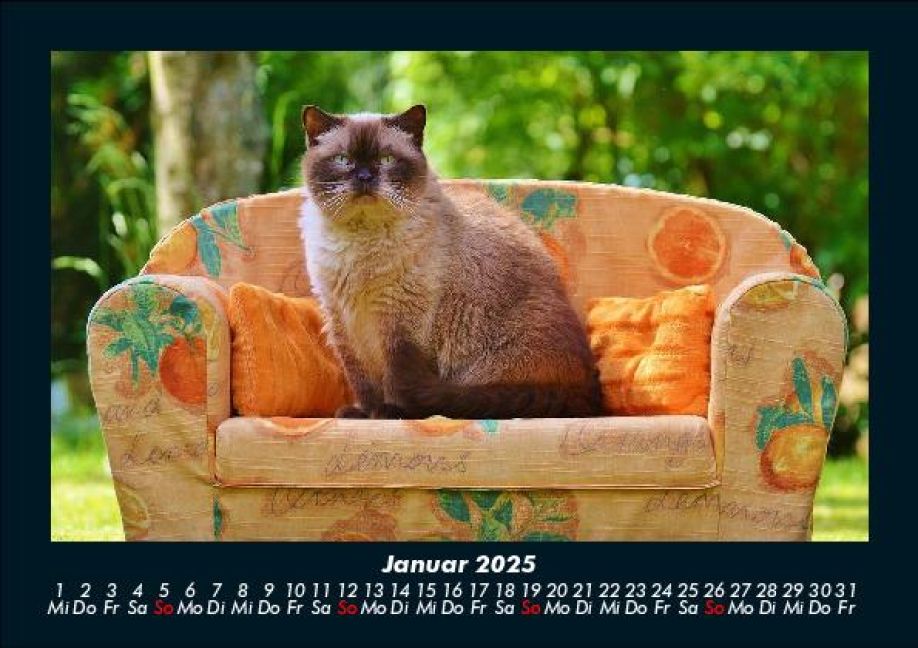 InsideView 5