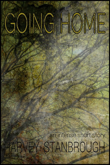 Going Home - Harvey Stanbrough