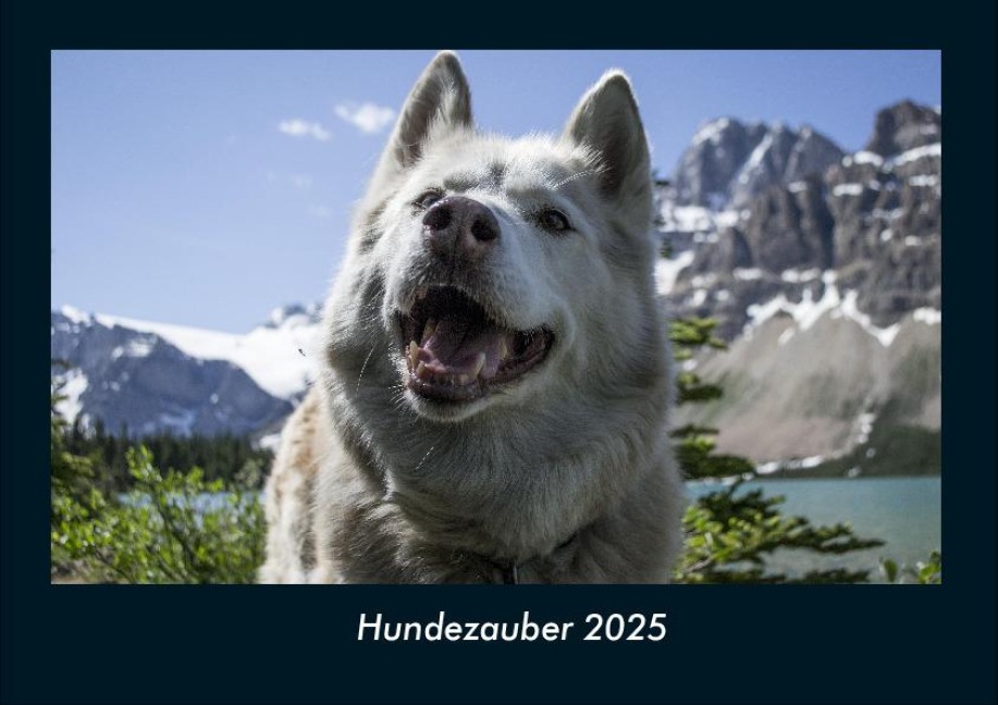 Hundezauber 2025 Fotokalender DIN A4 - Tobias Becker