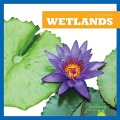 Cover-Bild zum Titel 'Wetlands' von 'Nadia Higgins'