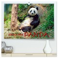 Niedlicher Panda (hochwertiger Premium Wandkalender 2025 DIN A2 quer), Kunstdruck in Hochglanz - Peter Roder