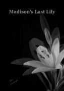 Cover-Bild zum Titel 'Madison's Last Lily' von 'Frn'