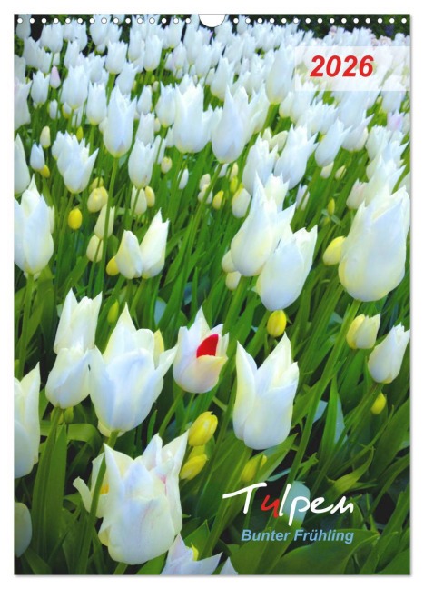 Tulpen. Bunter Frühling (Wandkalender 2026 DIN A3 hoch), CALVENDO Monatskalender - Eugeniya Kareva
