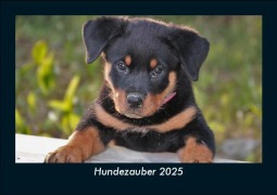 Cover-Bild zum Titel 'Hundezauber 2025 Fotokalender DIN A5' von 'Tobias Becker'