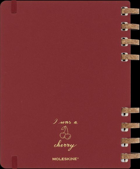 InsideView 13
