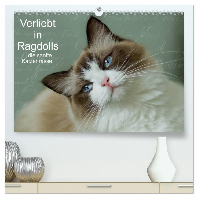 Verliebt in Ragdolls ... die sanfte Katzenrasse (hochwertiger Premium Wandkalender 2026 DIN A2 quer), Kunstdruck in Hochglanz - Marion Reiß-Seibert