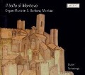 Il Ballo Di Mantova-Organ Music In S.Barbara - Liuwe Tamminga