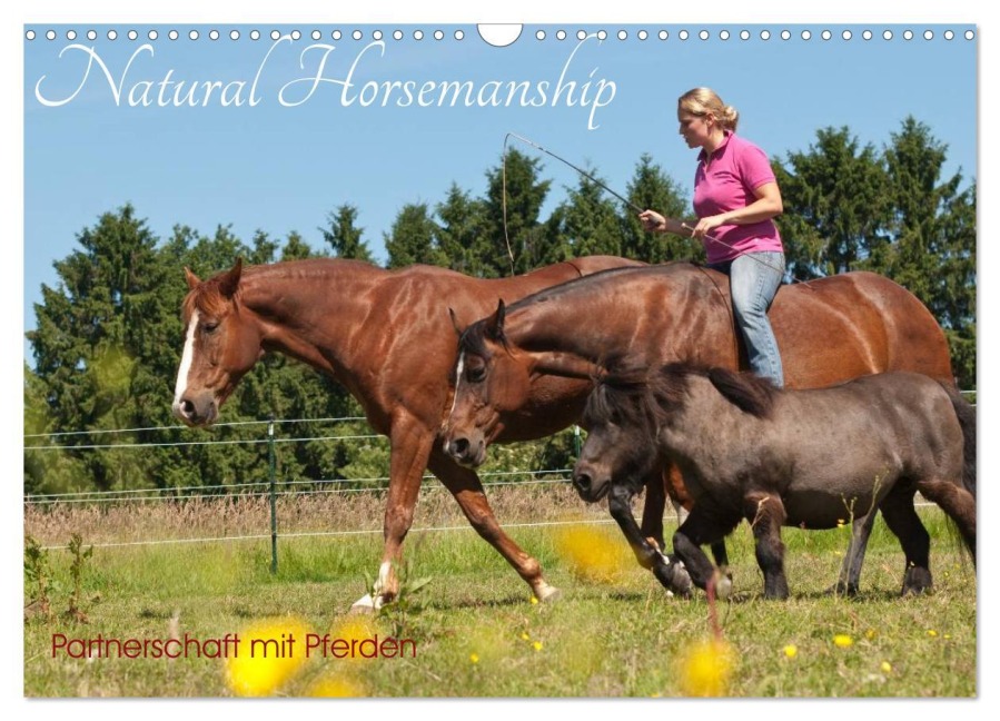 Natural Horsemanship - Partnerschaft mit Pferden (Wandkalender 2026 DIN A3 quer), CALVENDO Monatskalender - Meike Bölts