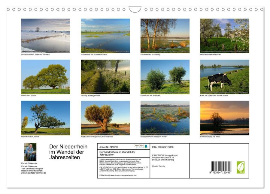 InsideView 5