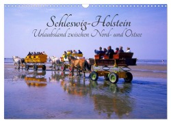 Cover-Bild zum Titel 'Schleswig-Holstein, Urlaubsland zwischen Nord- und Ostsee (Wandkalender 2026 DIN A3 quer), CALVENDO Monatskalender' von 'Lothar Reupert'
