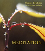 Cover-Bild zum Titel 'Meditation' von 'Martine Batchelor, Stephen Batchelor'