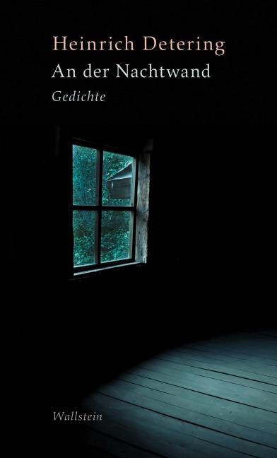 An der Nachtwand - Heinrich Detering