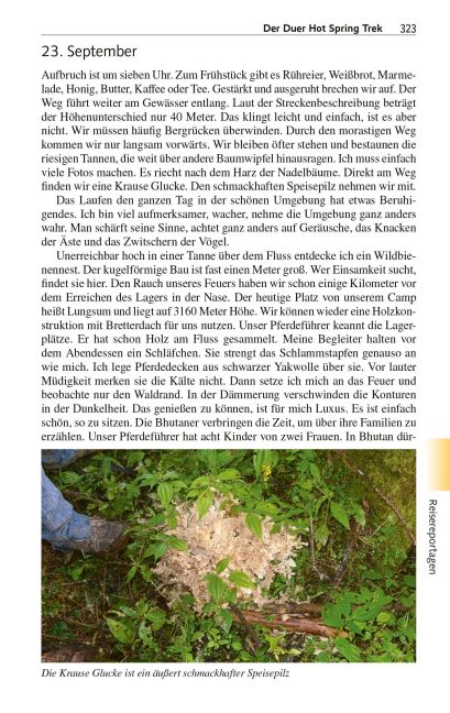 InsideView 30
