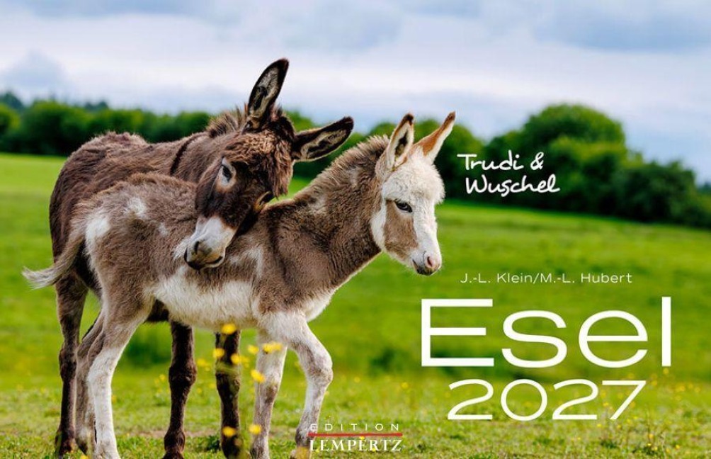 Esel 2027 - J. -L. Hubert Klein
