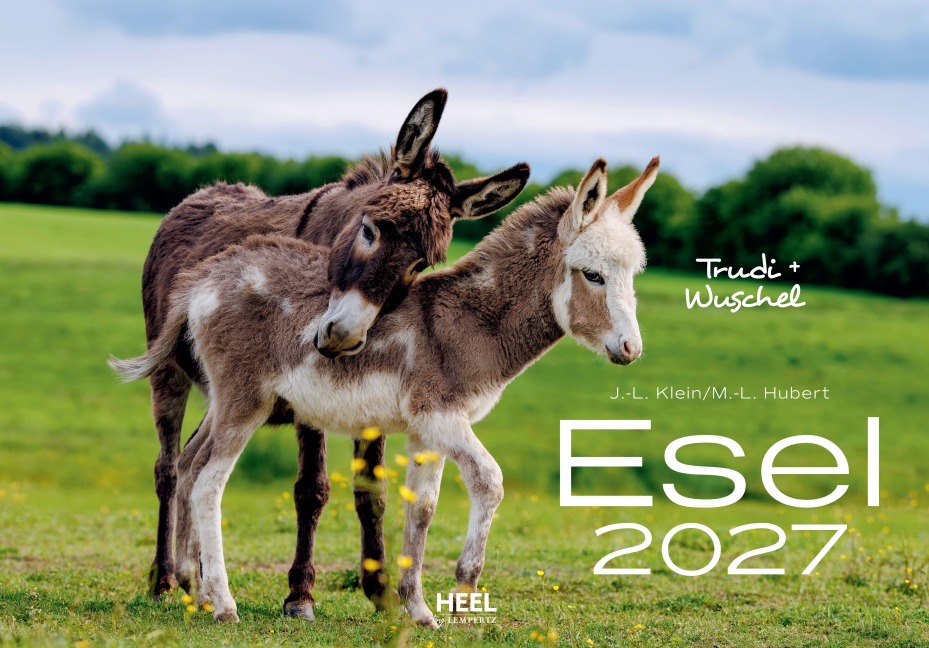 Esel Kalender 2027 - J. -L. Hubert Klein