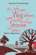 Cover-Bild zum Titel 'Wie ich vom Weg abkam, um nicht auf der Strecke zu bleiben' von 'Eduard Freundlinger'