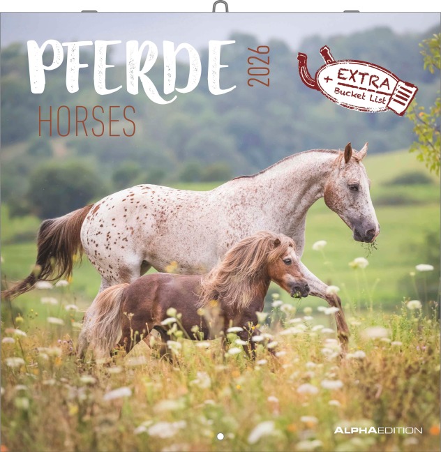 Pferde 2026 - Broschürenkalender 30x30 cm (30x60 geöffnet) - Kalender mit Platz für Notizen - Horses - Bildkalender - Wandplaner - Pferdekalender - 