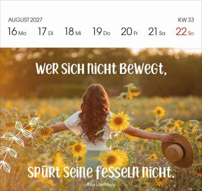 InsideView 10