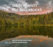 Cover-Bild zum Titel 'Die Schönheit des Augenblicks' von 'Steffen Krieger'