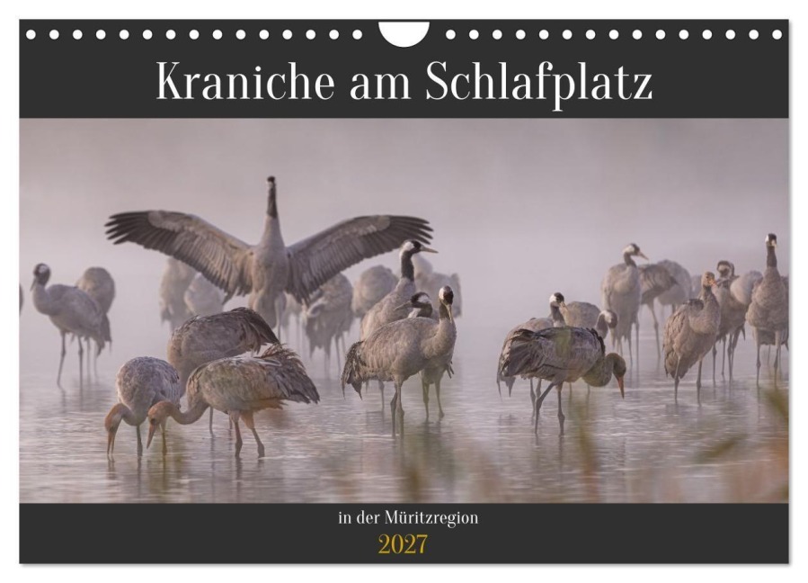 Kraniche am Schlafplatz in der Müritzregion (Wandkalender 2027 DIN A4 quer), CALVENDO Monatskalender - André Pretzel - FotoPretzel