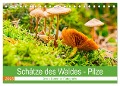 Schätze des Waldes - Pilze (Tischkalender 2025 DIN A5 quer), CALVENDO Monatskalender - Sven Sommer Fotografie