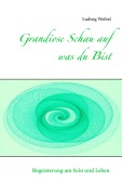 Cover-Bild zum Titel 'Grandiose Schau auf was du Bist' von 'Ludwig Weibel'
