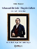 Cover-Bild zum Titel 'Schau auf die Erde - Der Flug des Falken. Erstes Buch: In Gottes Hand' von 'Walter Baumert'