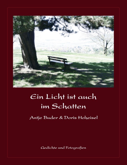 Ein Licht ist auch im Schatten - Antje Buder, Doris Hoheisel