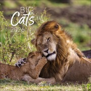 Big Cats 2026 - 